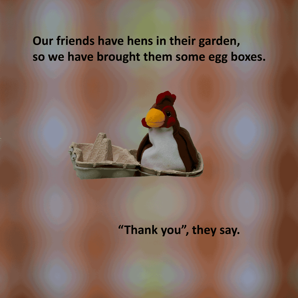Egg boxes and chicken